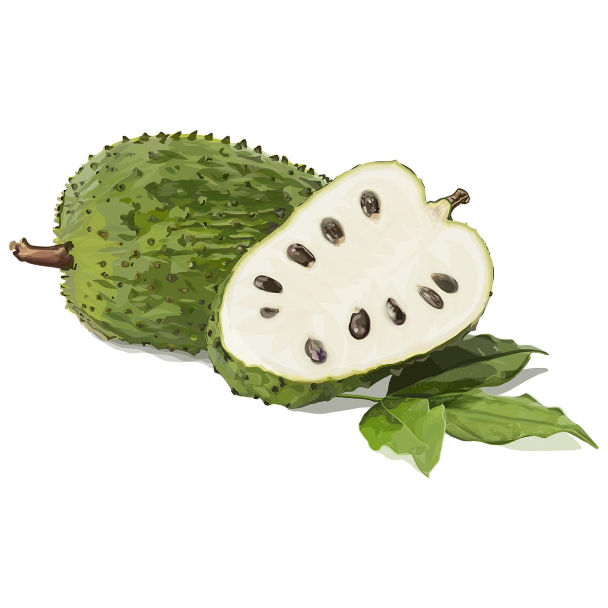 Гуанабана Гравиола