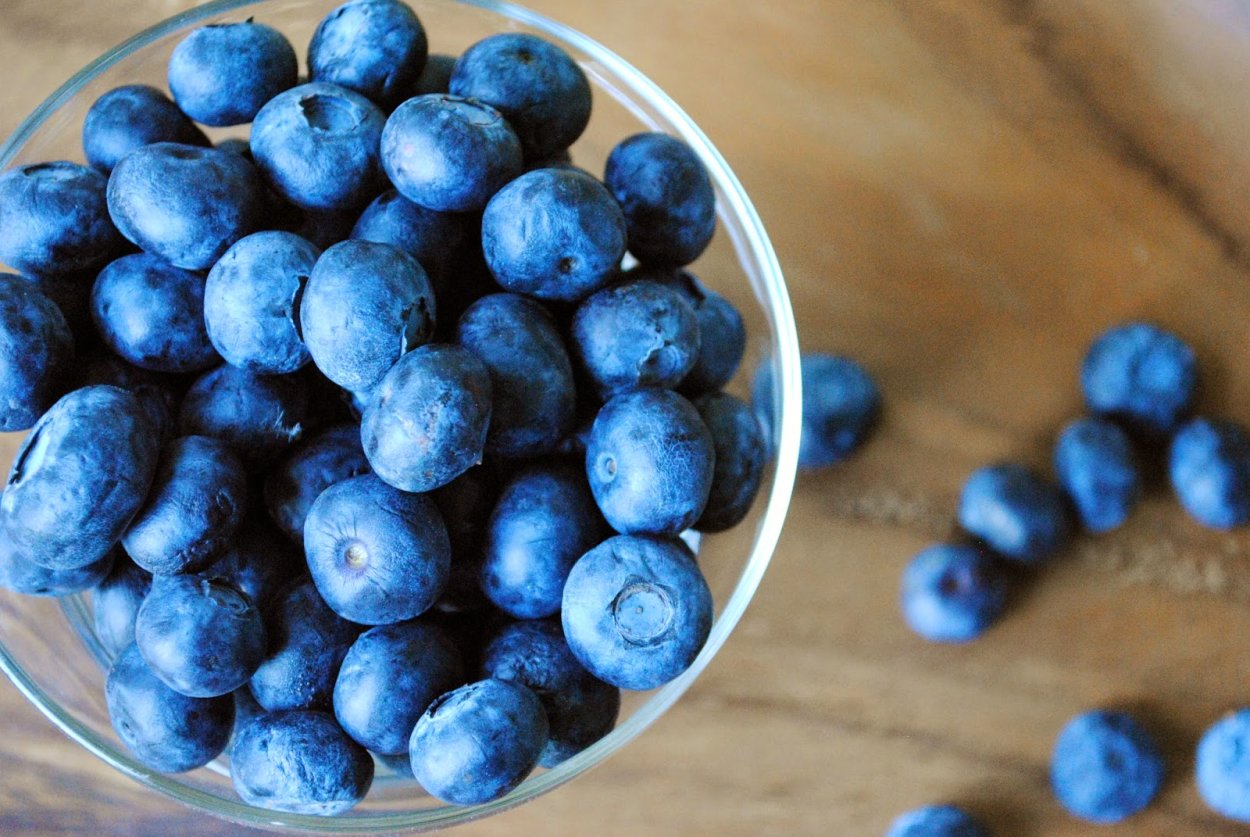 Северная ягода синего цвета голубика