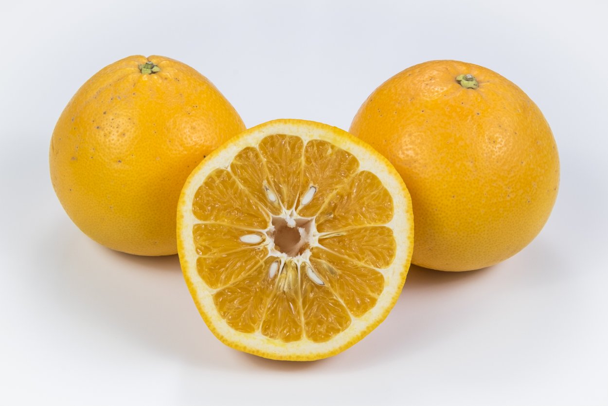 Гибрид цитрус