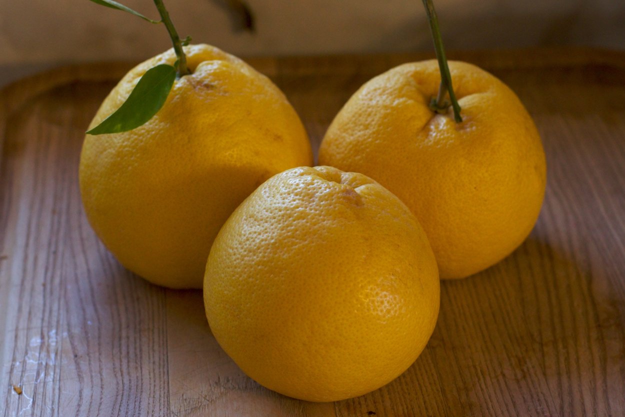 Мандарины Клементины сладкие