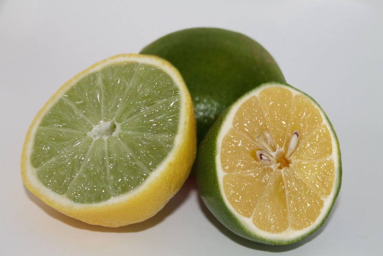 Гибрид помело с лаймом