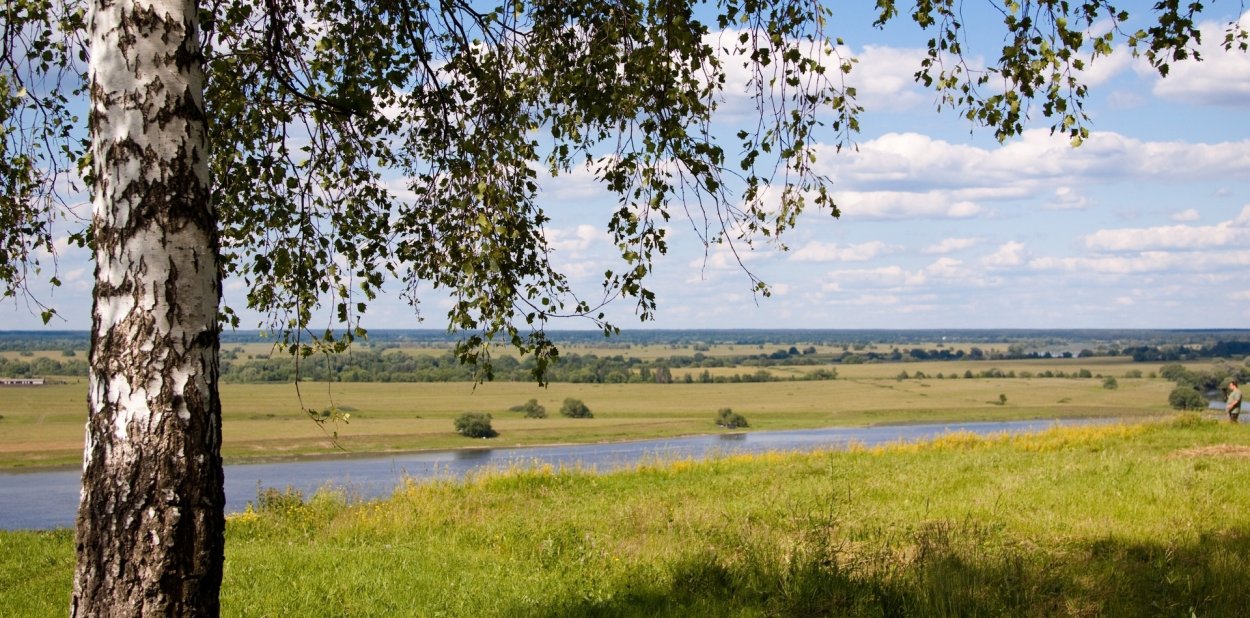Пейзаж Константиново Родина Есенина