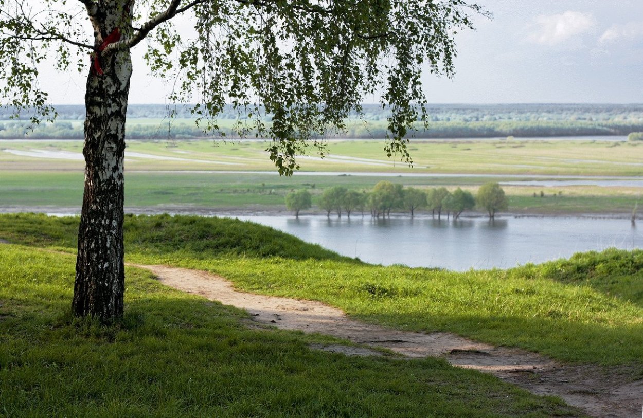 Село Константиново Рязанская область