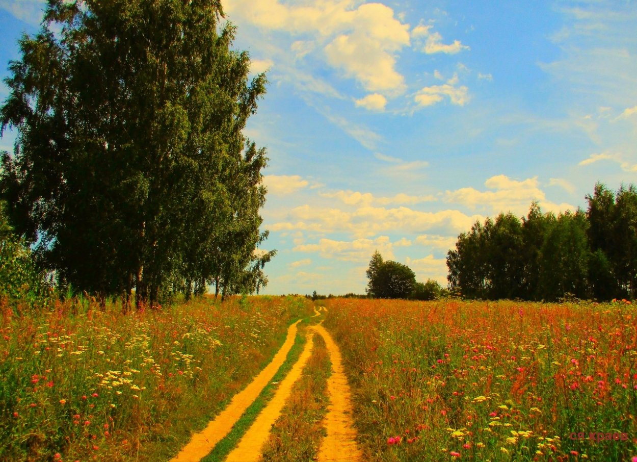 Полесье природа Белоруссия