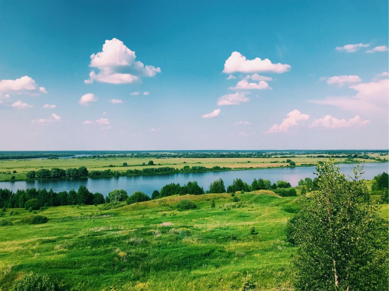 Природа села Константиново Родины Есенина