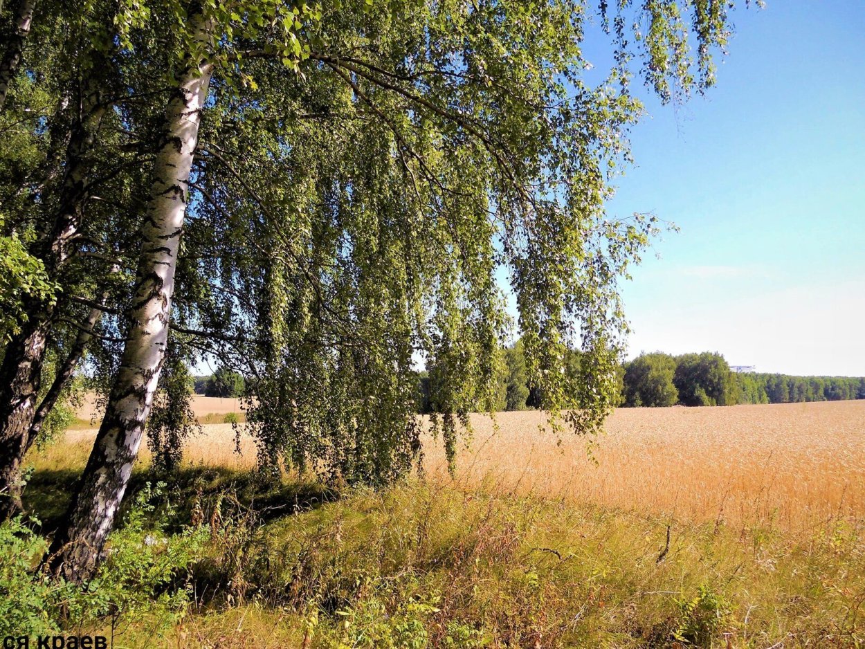 Природа Рязанского края