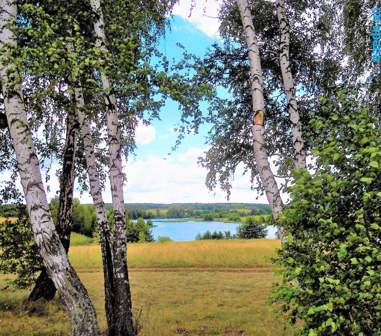 Речка шумка Рязанская область