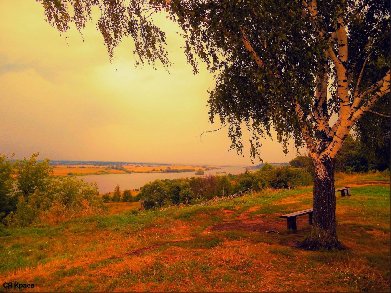 Береза село Константиново