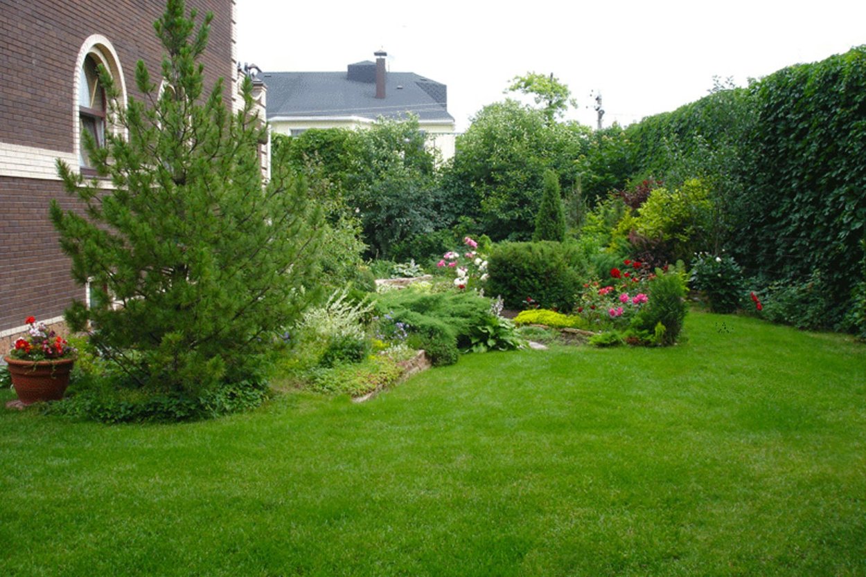 Ель Коника в ландшафтном дизайне