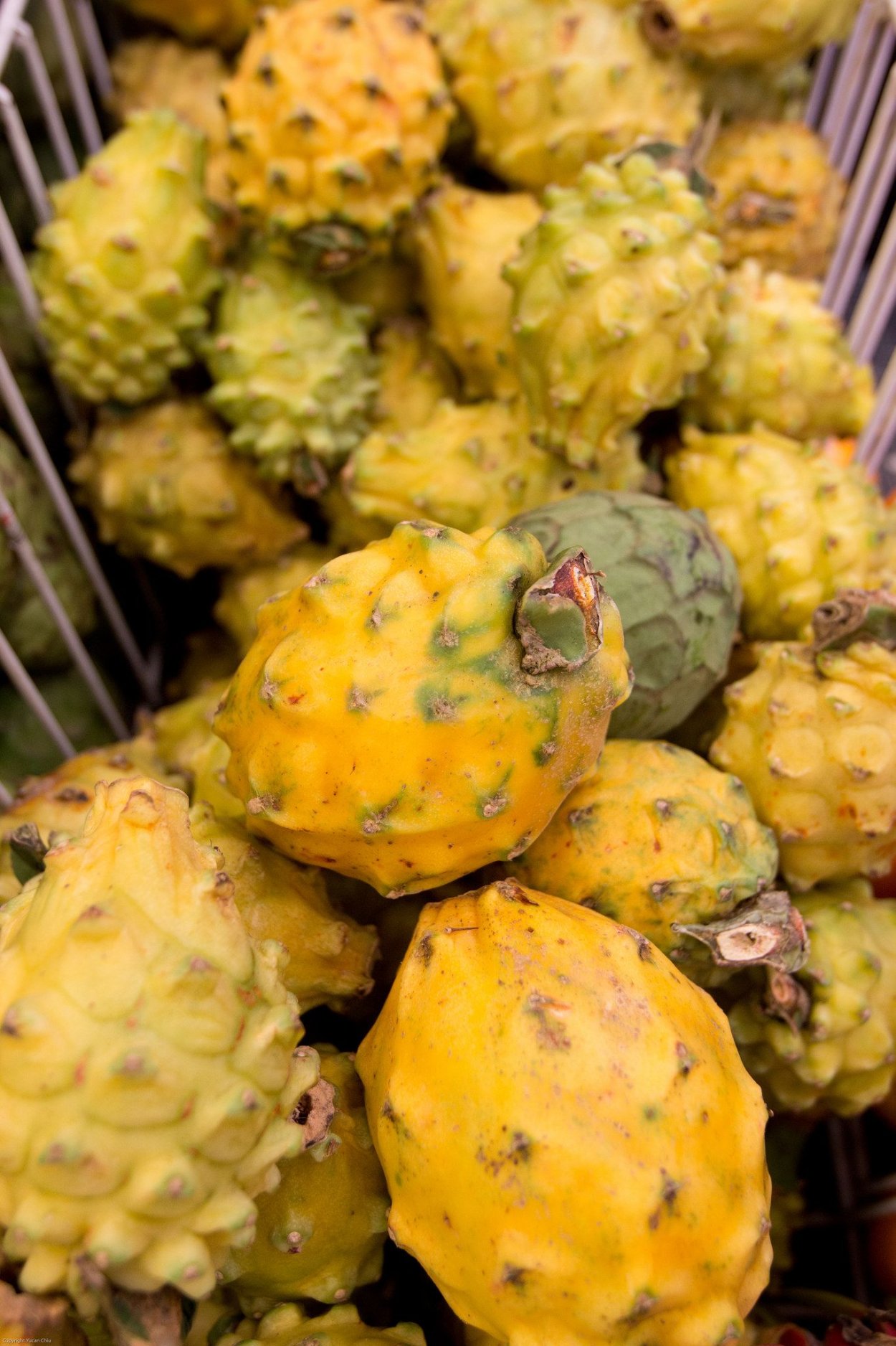 Питахайя Эквадор