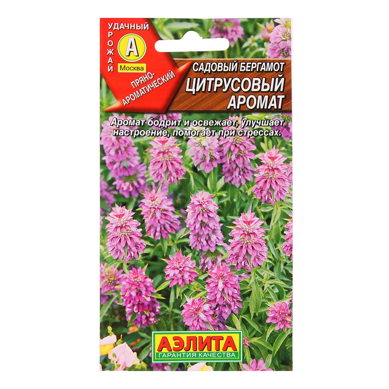 Монарда бергамот цитрусовый аромат