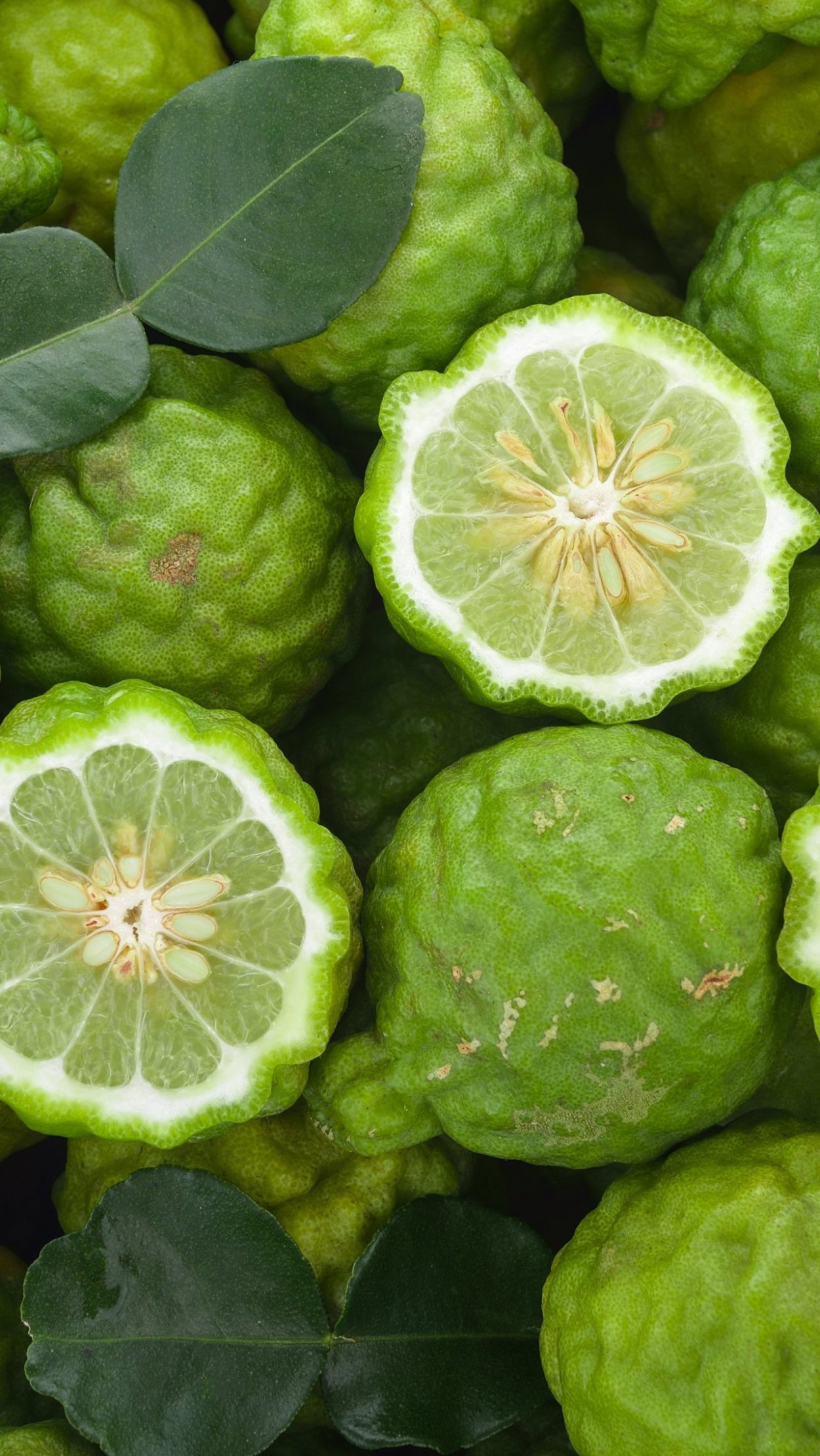 Сицилийский бергамот