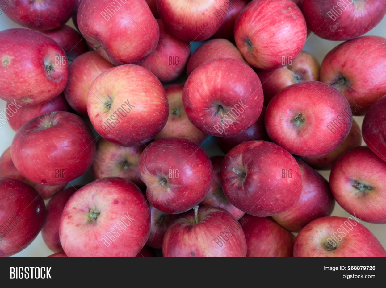 Яблоки красные сорта Джонатан