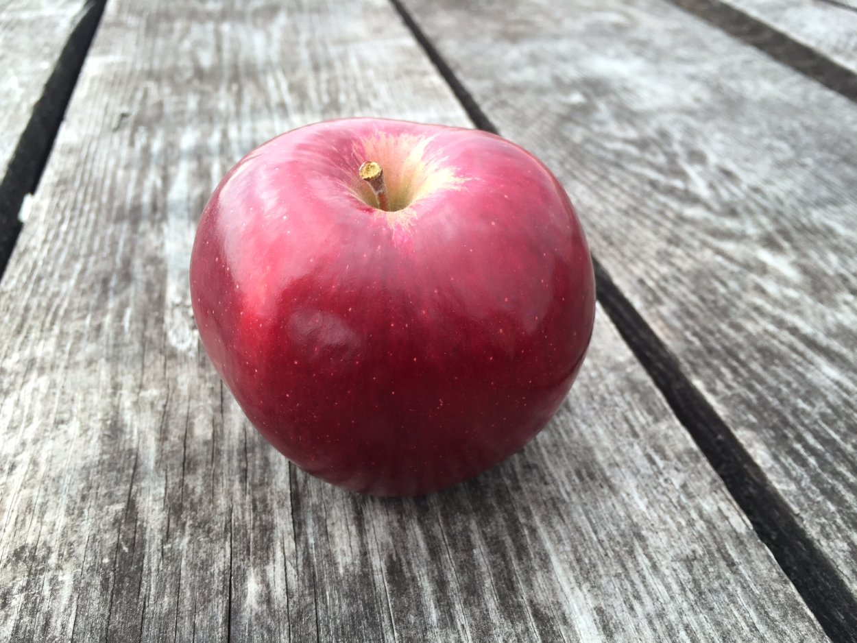 Сорт Джонатан