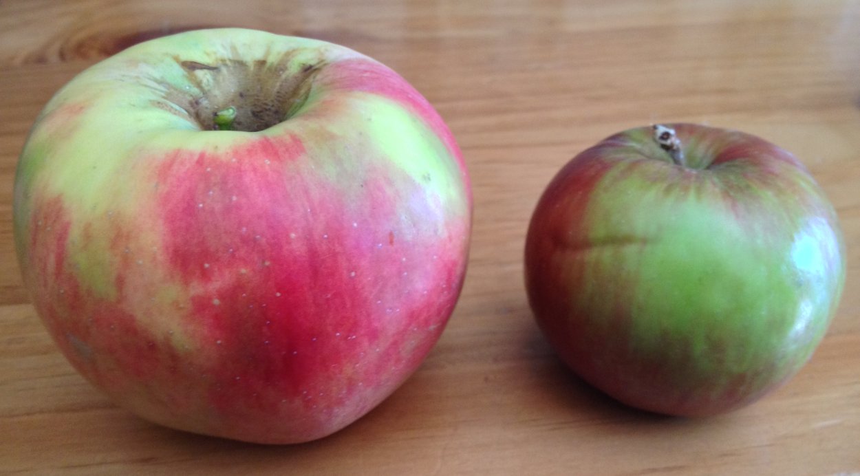 Яблоки Джонатан Азербайджан