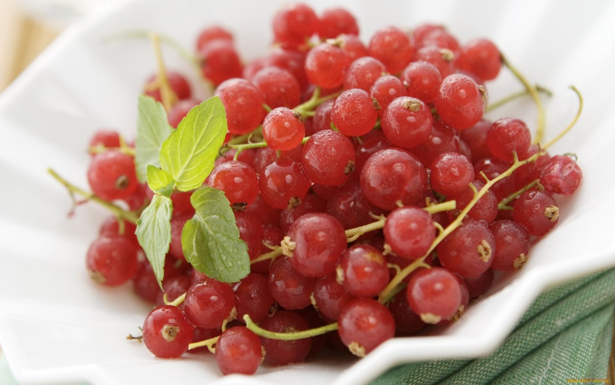 Красная смородина на тарелке