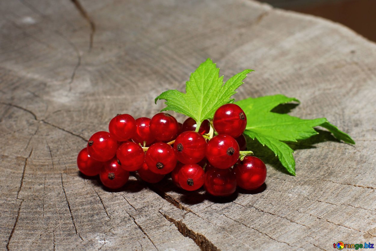 Гроздья красной смородины