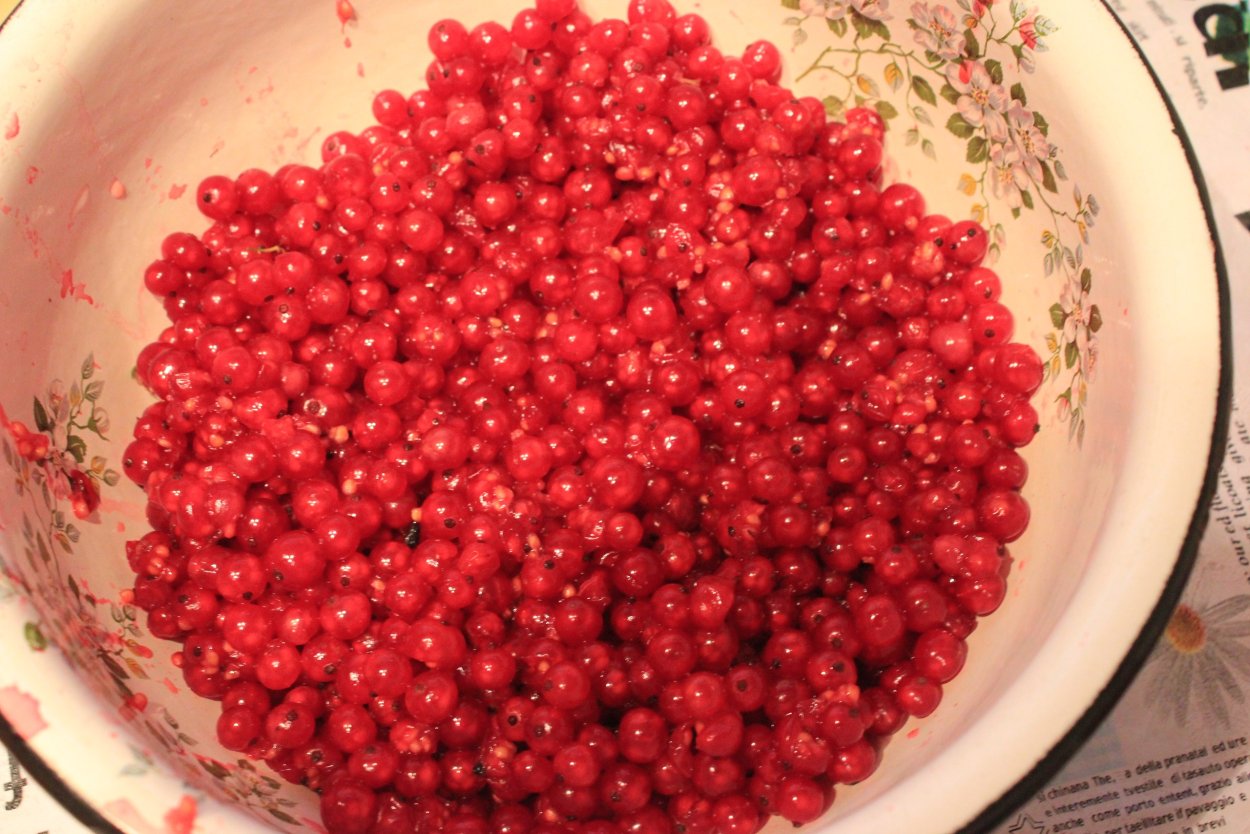 Поречка на зиму красная