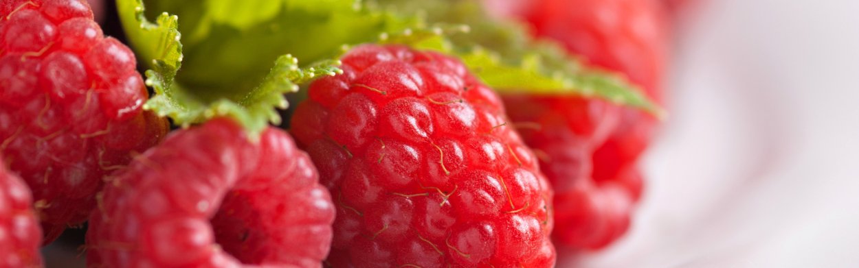 Фон баннера малина