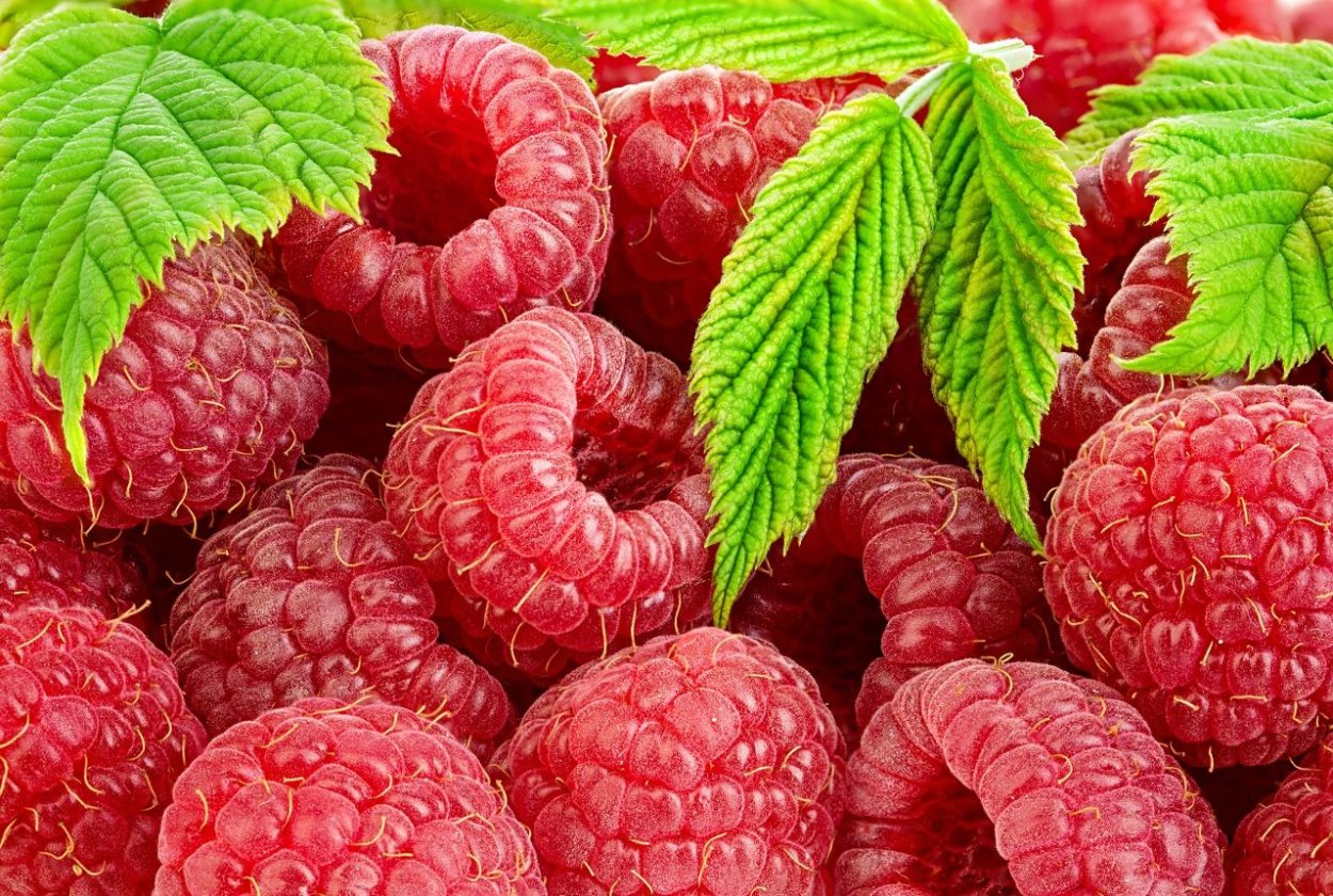 Малина Кокбурна