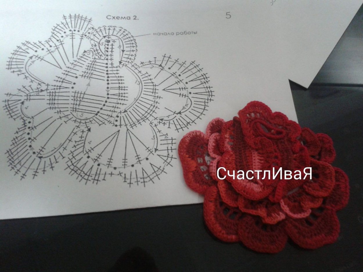 Роза ирландское кружево Зиязова