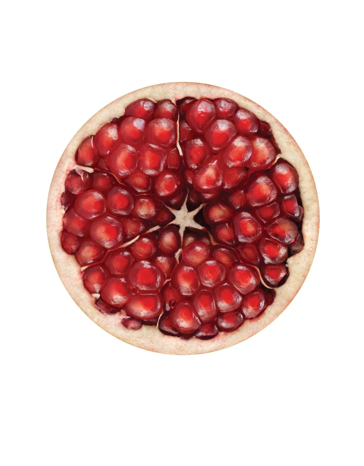 Гранат в разрезе