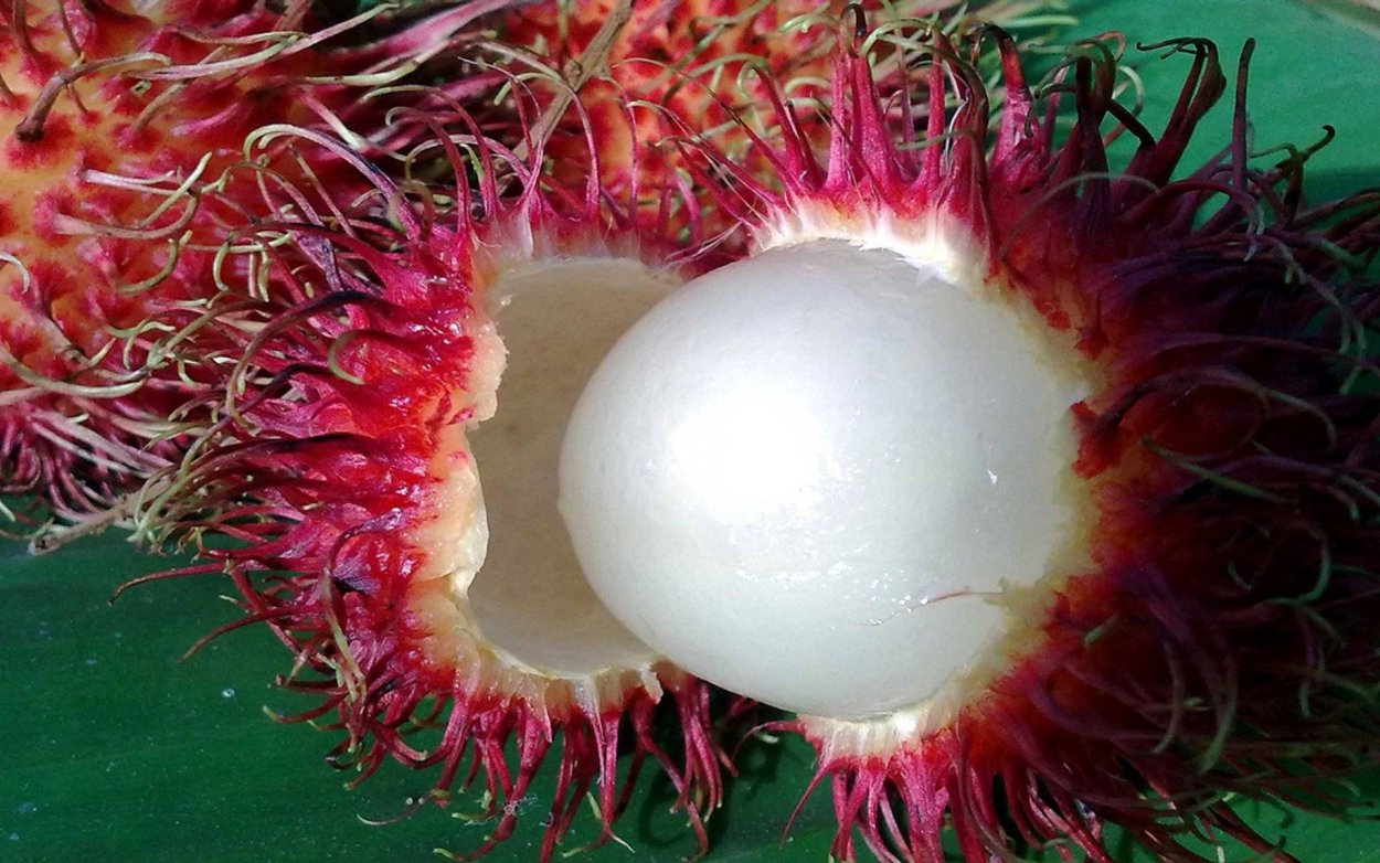 Рамбутан внутри