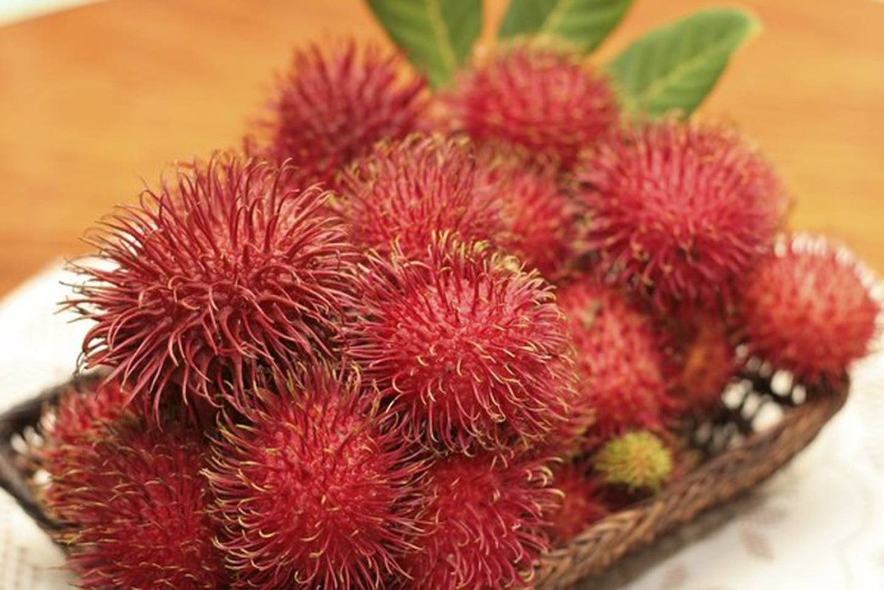 Загадки про рамбутан