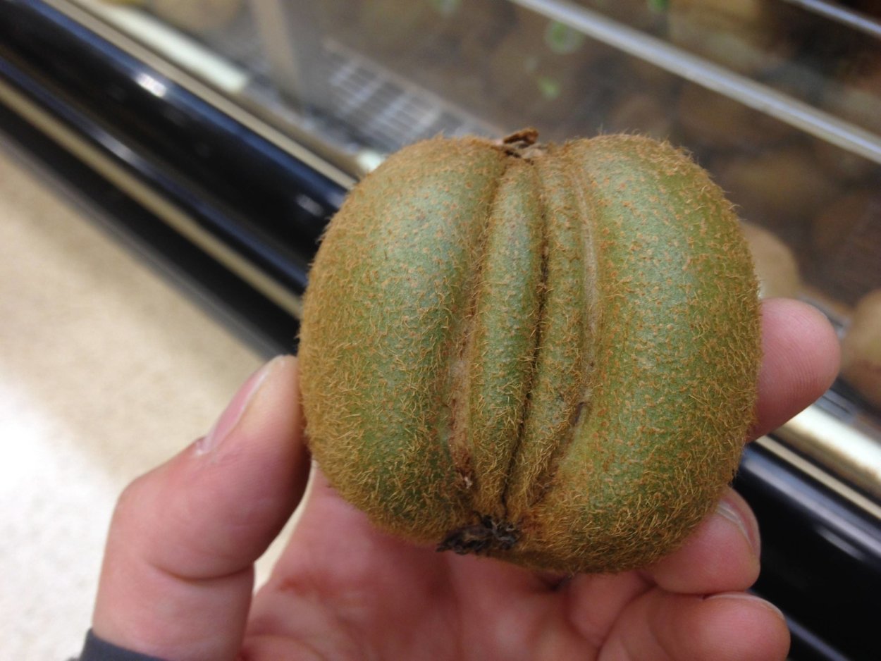 Фрукт похожий на женские органы