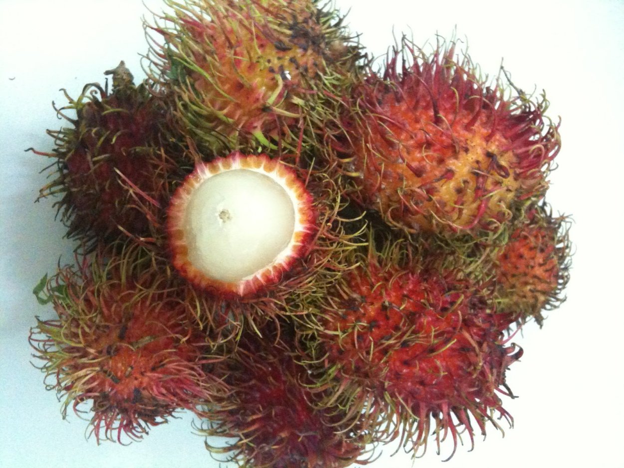 Малайзия рамбутан