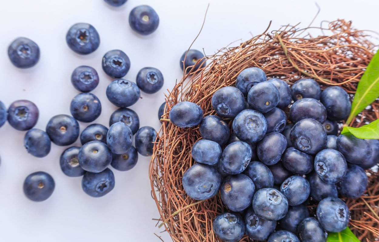 Голубика и ирга