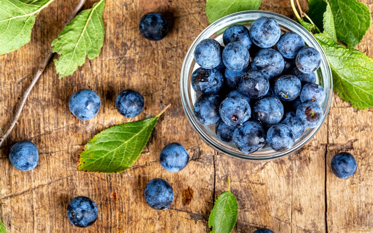 Черника голубика Терн