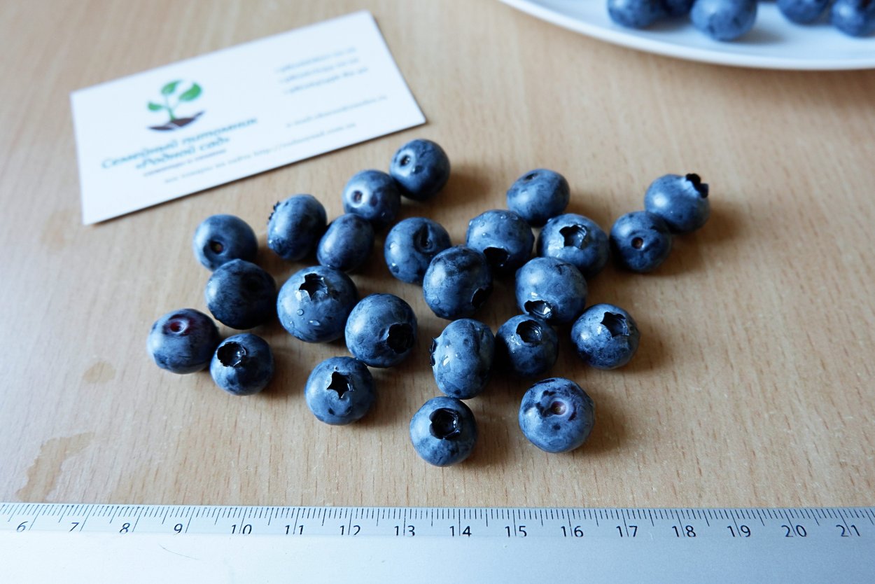 Голубика косточки