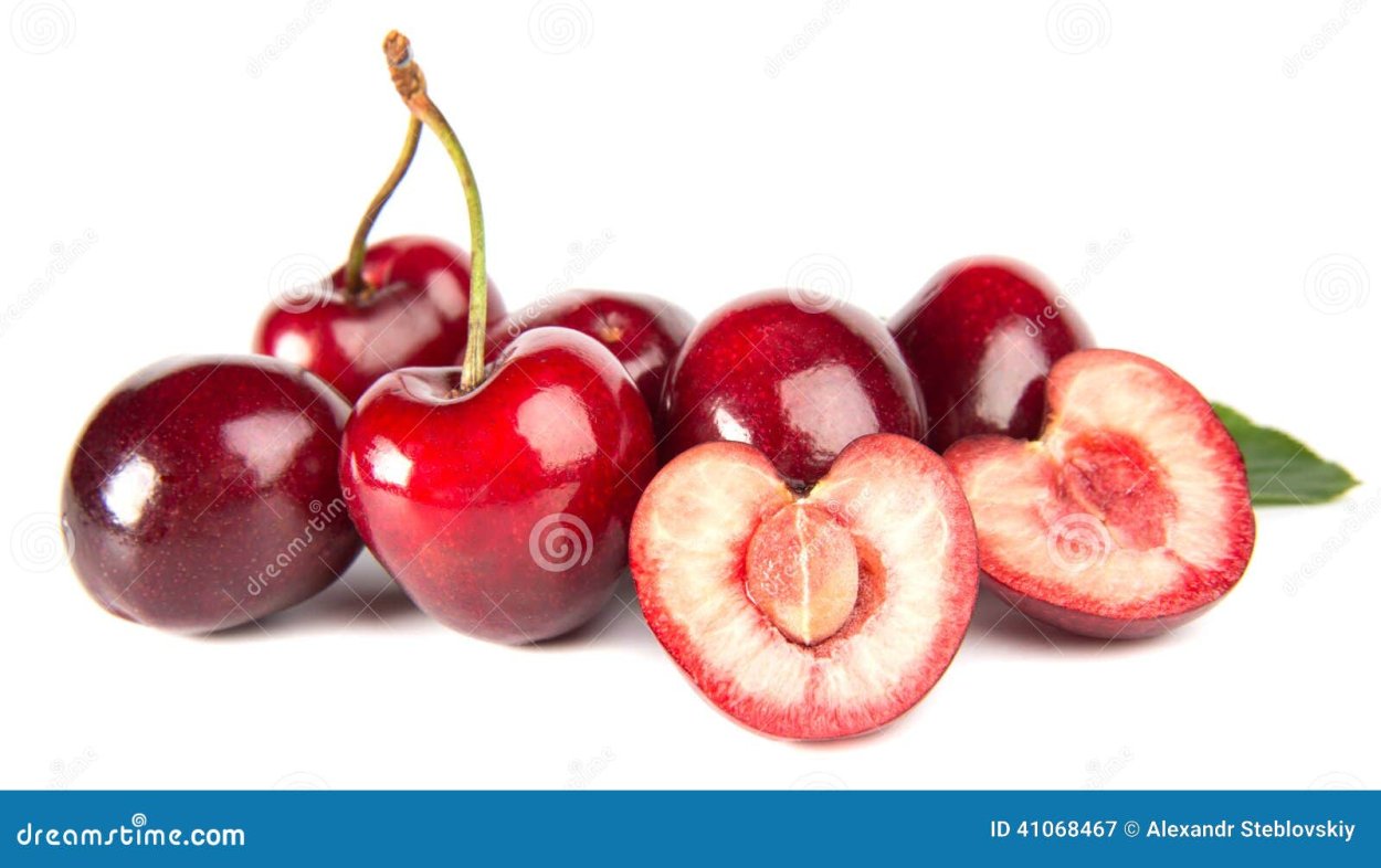 Косточка вишни в разрезе