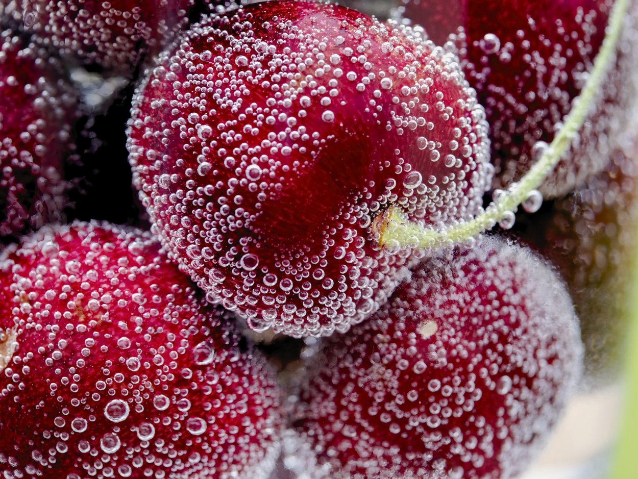 Ягоды фрукты в инее