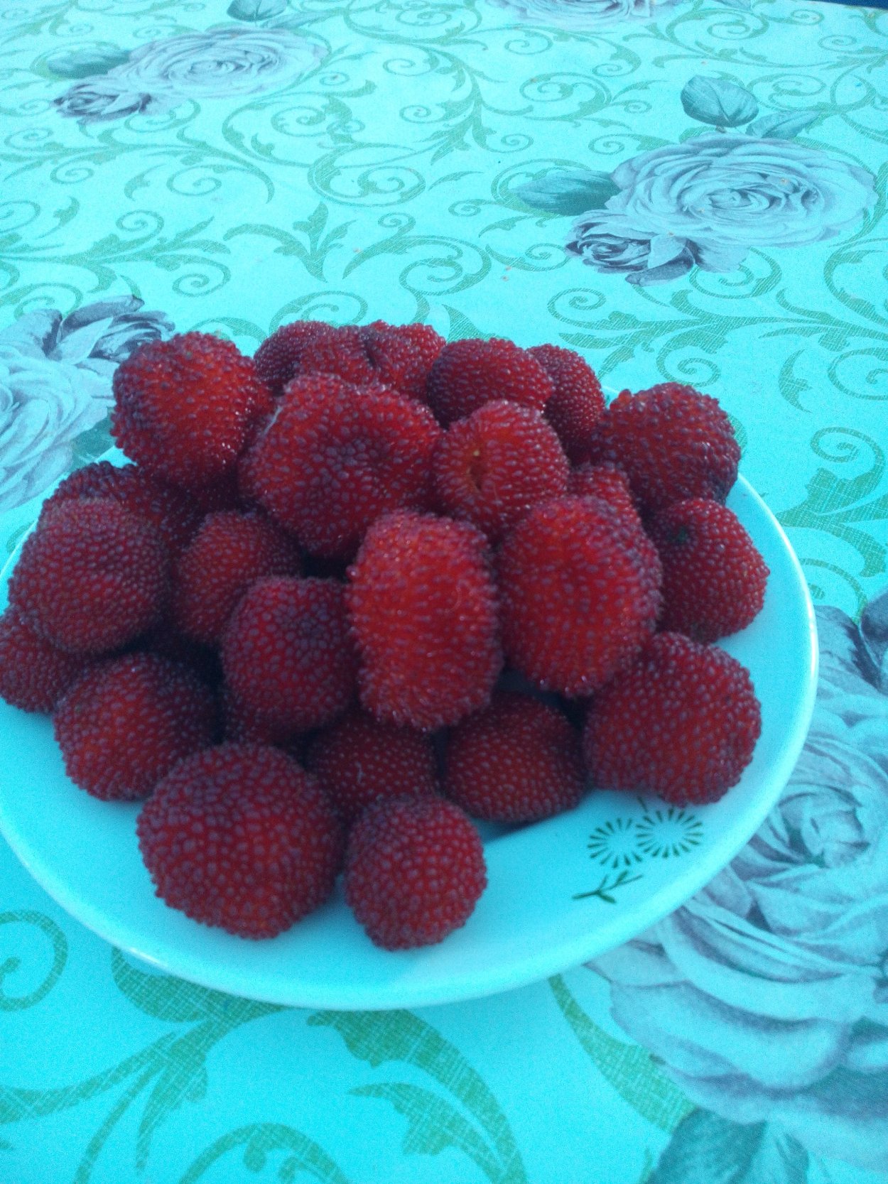 Малина тибетская розолистная