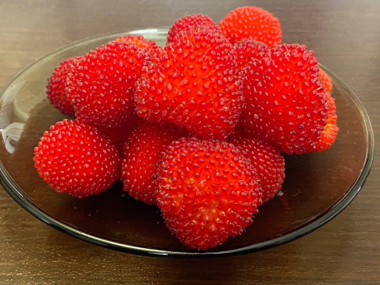 Малина Земляничная (тибетская малина)