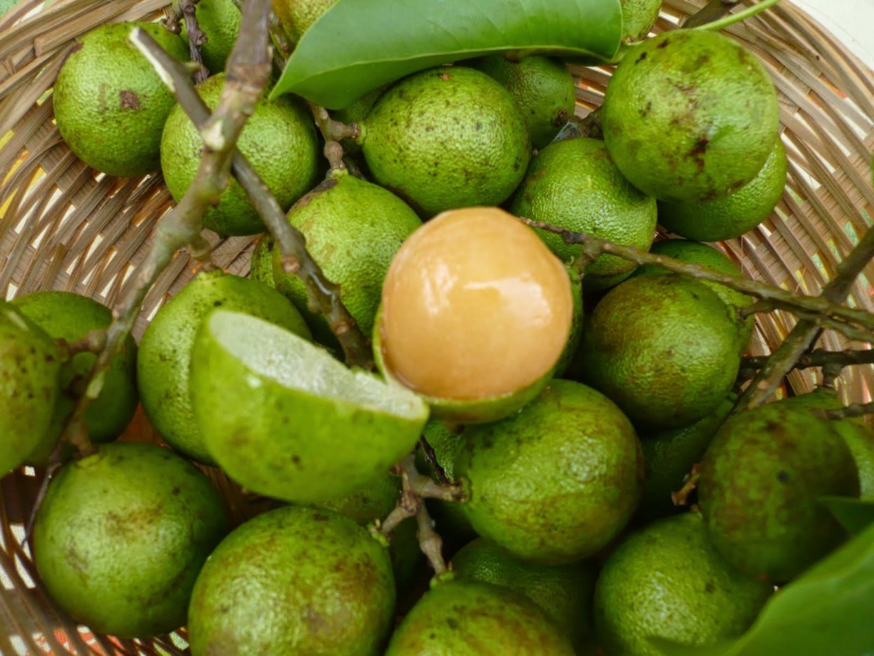 Мамончилло фрукт