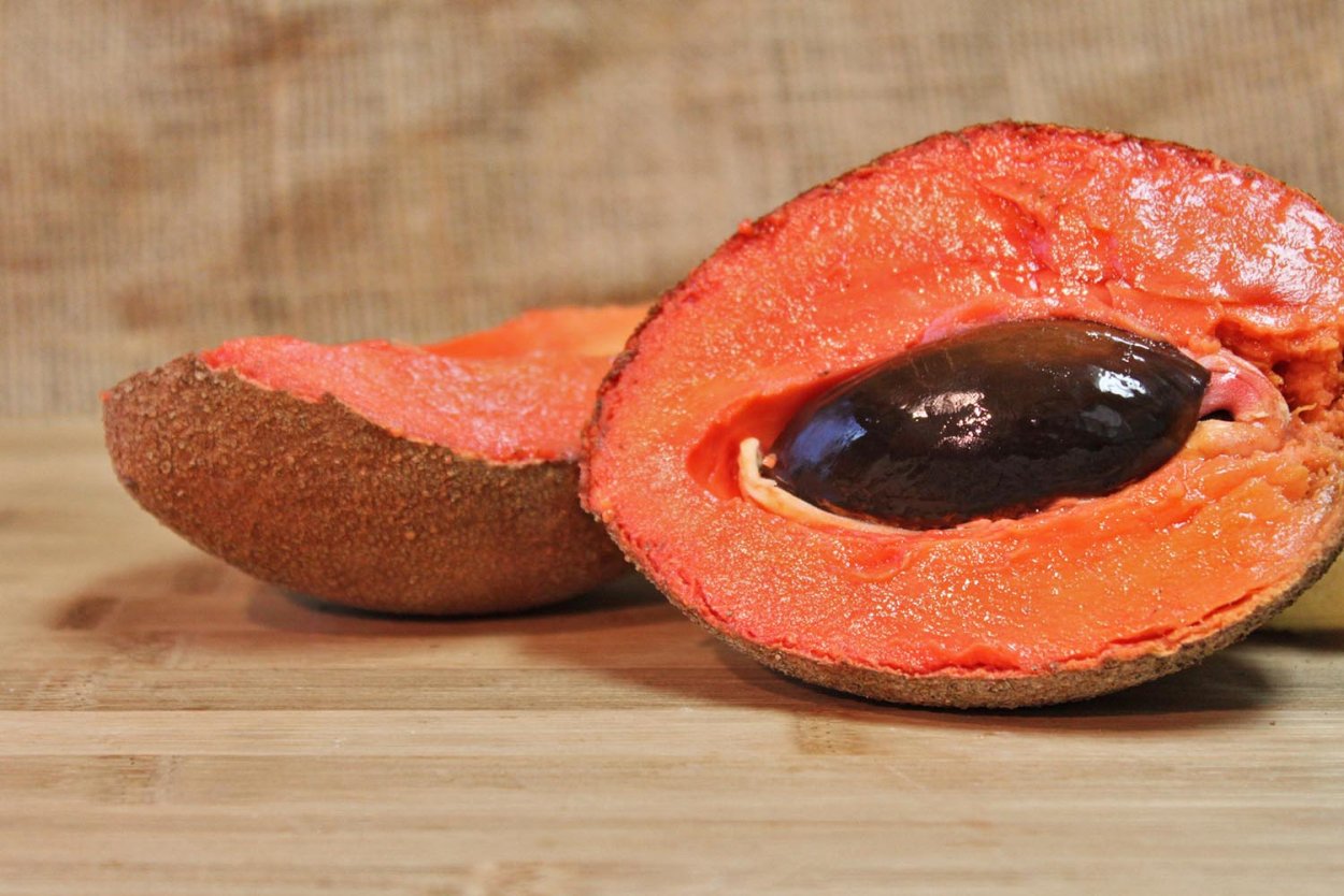 МАММЕЯ сапота