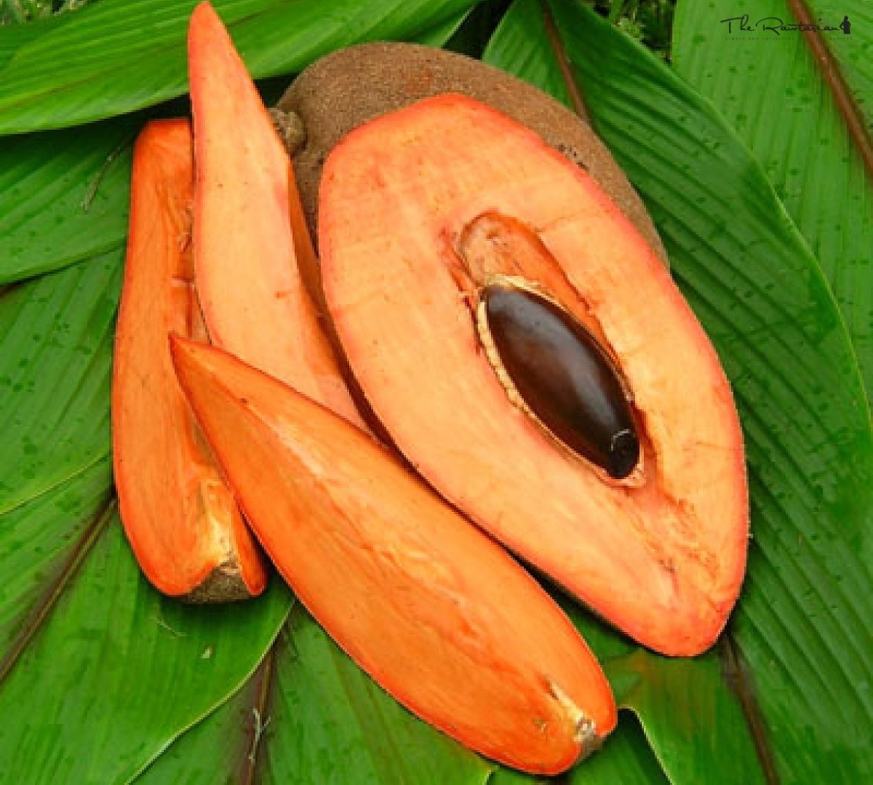 Мамей сапота фрукт