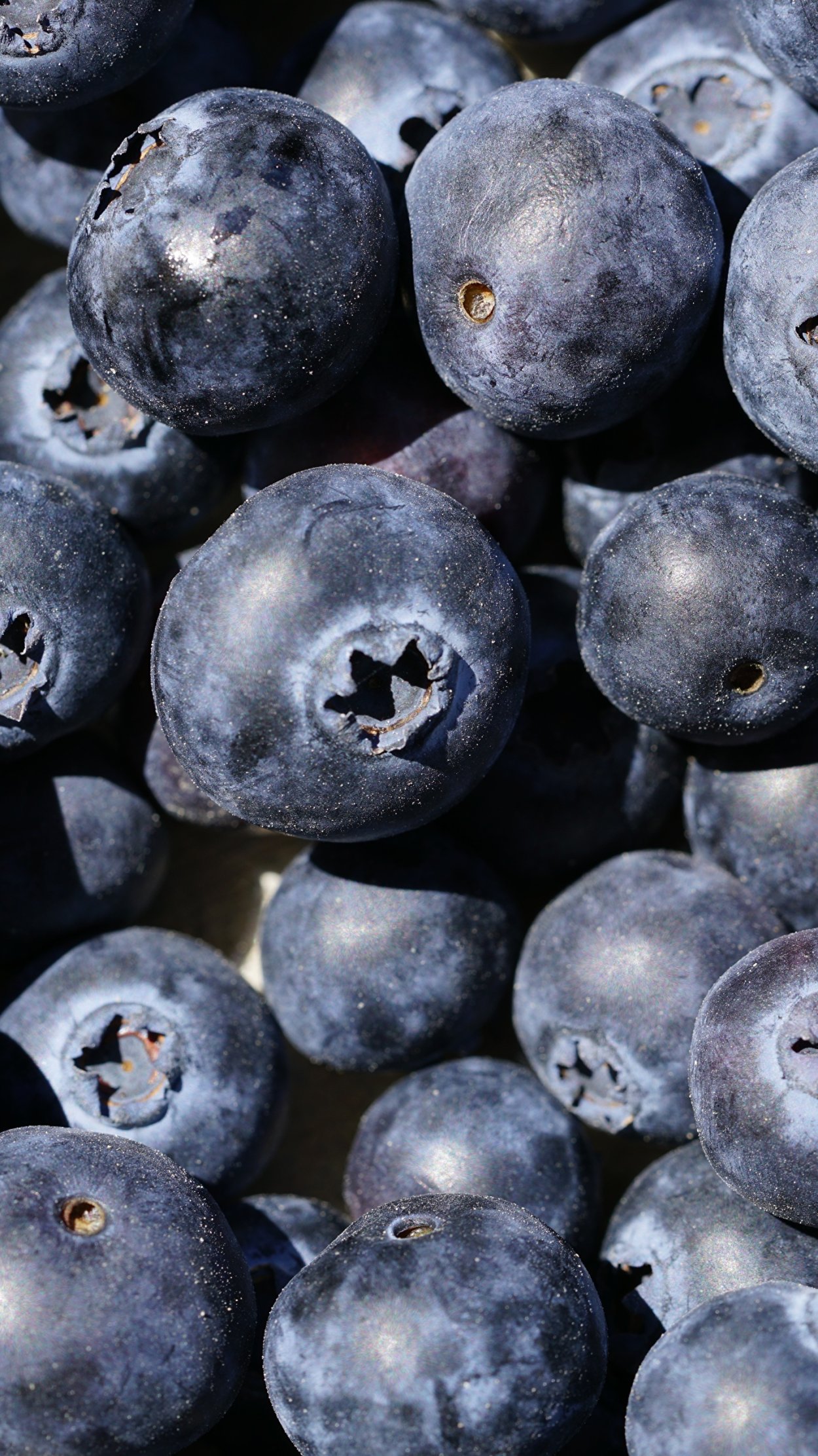 Блуберри ягода