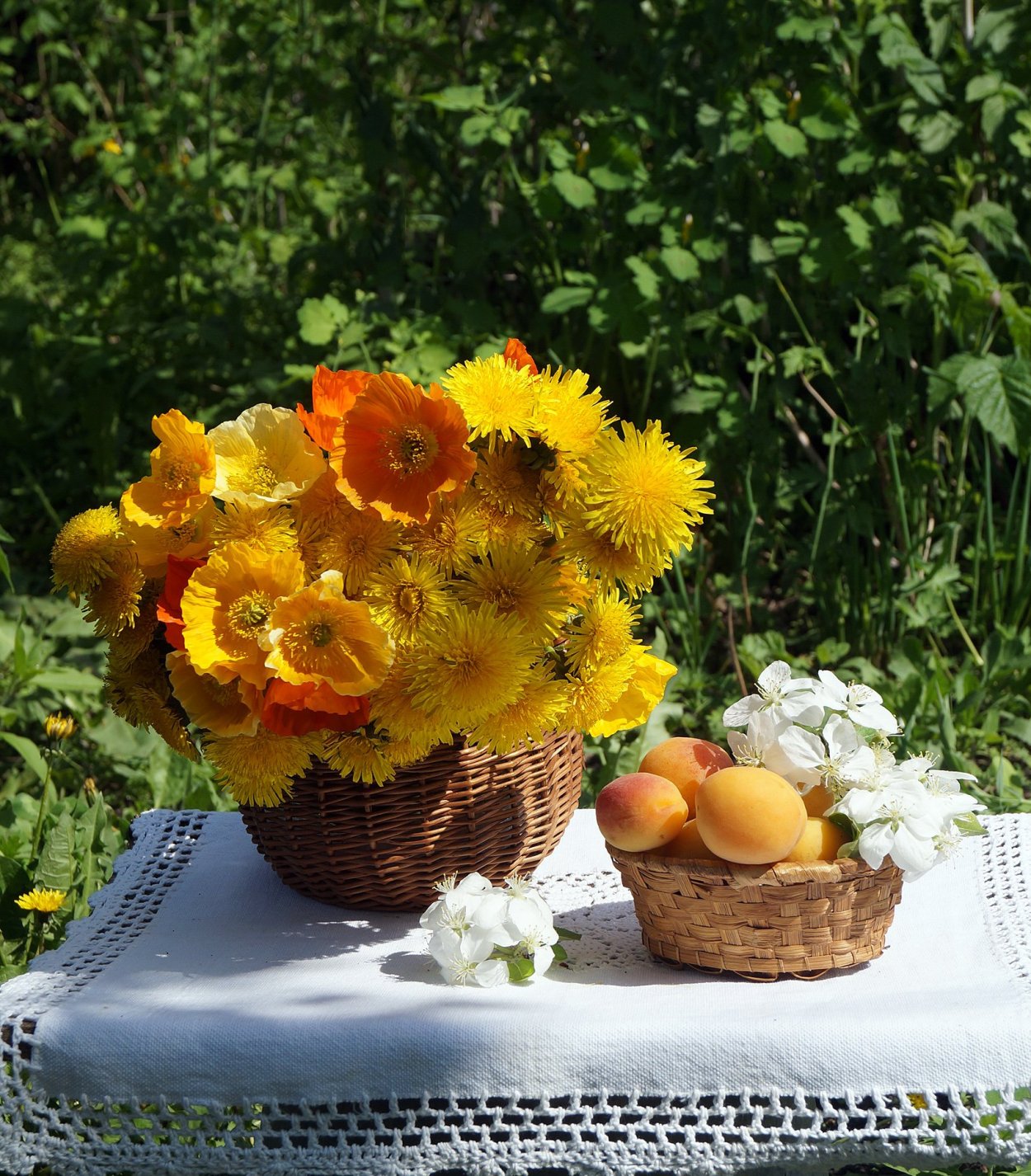 Августовские цветы