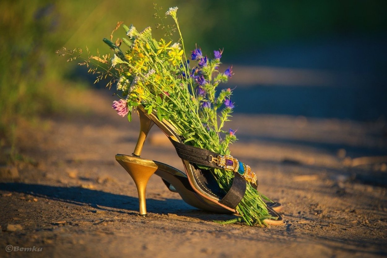 Цветы Прощай лето