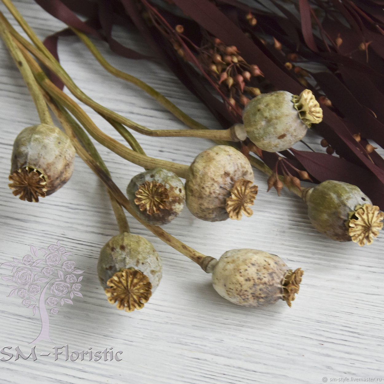 Коробочка мака