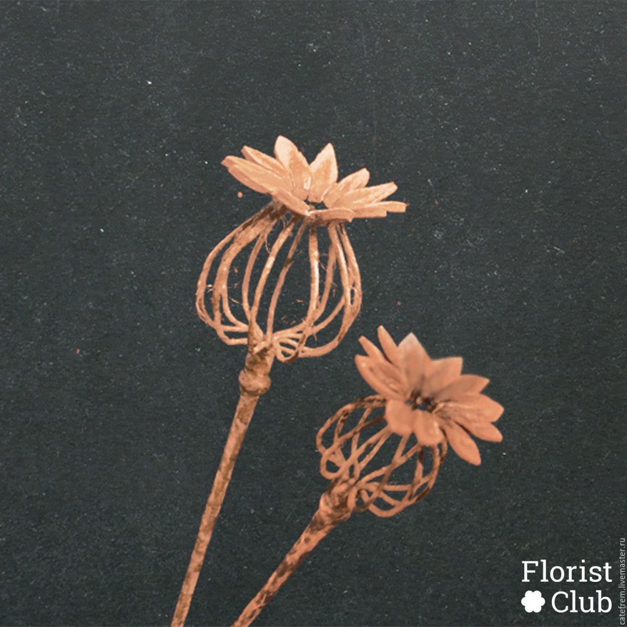 Поделки из маковых коробочек