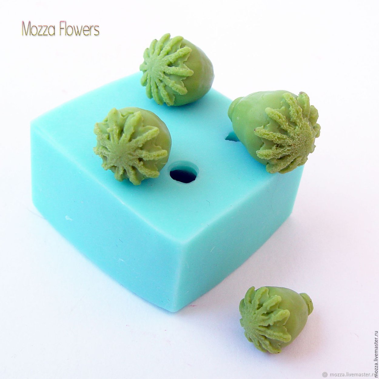 Вайнер коробочка мака