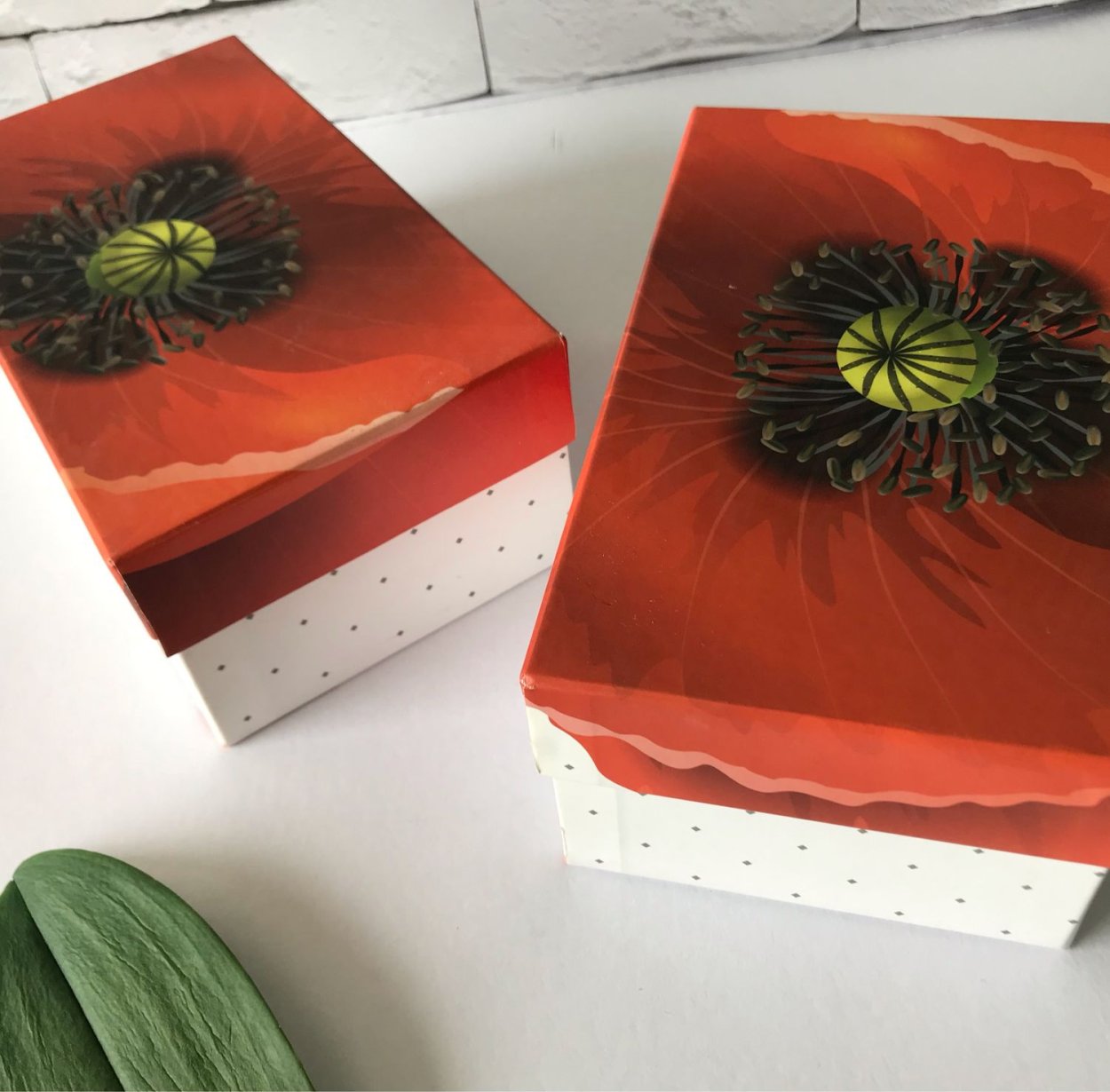 Маковые коробочки с семенами