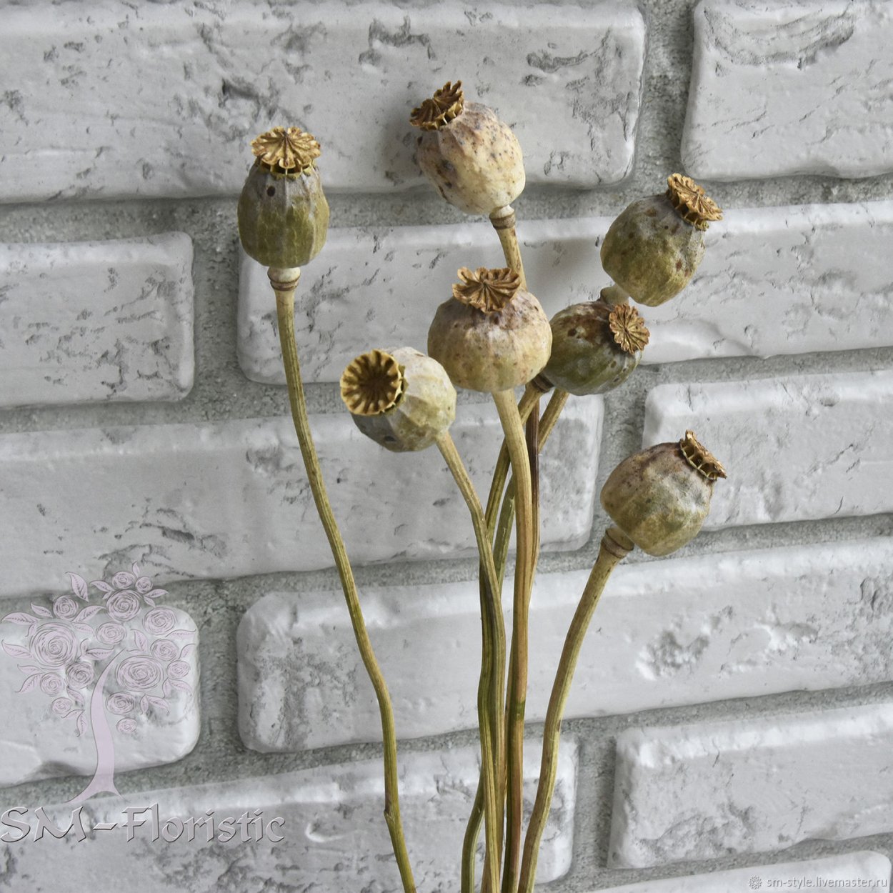 Маки коробочки