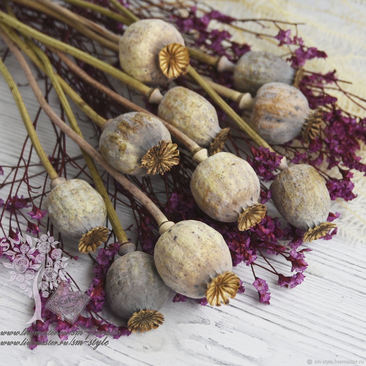 Семенные коробочки жасмина сухоцветы