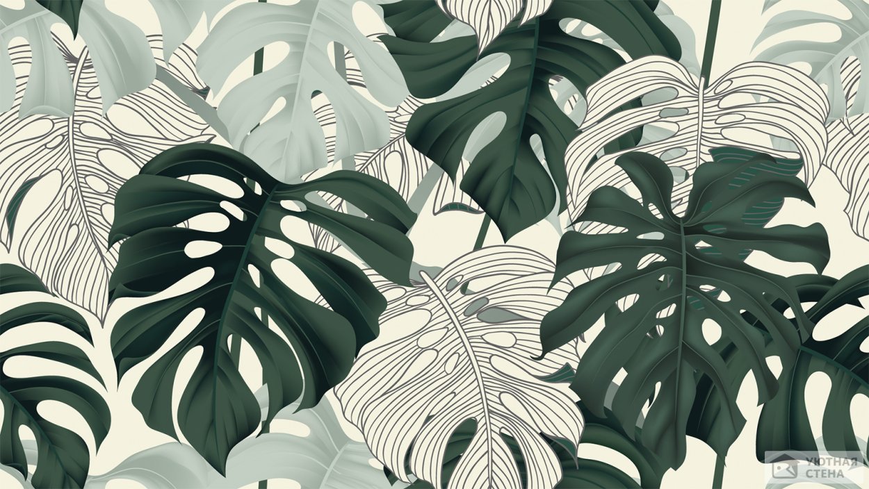 Лист монстеры